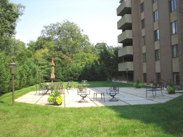 Patio Back Yard