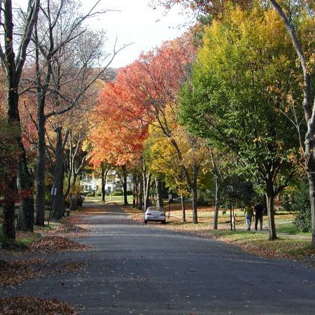 Maplewood Fall Foliage